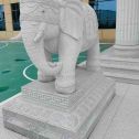 廊坊 白麻花岗岩动物异形石雕-大象