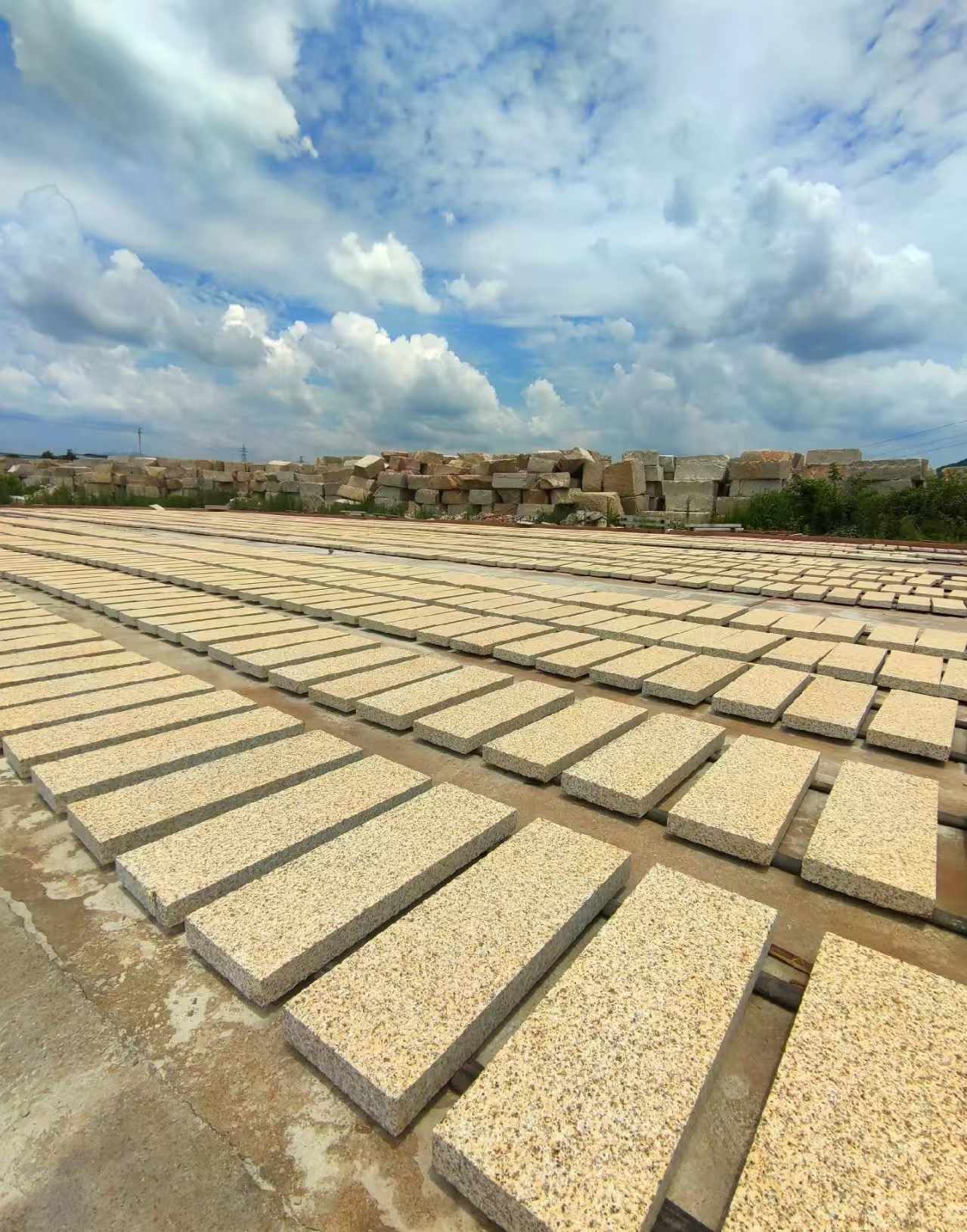 廊坊 黄金麻荔枝面花岗岩石材地铺石防护中