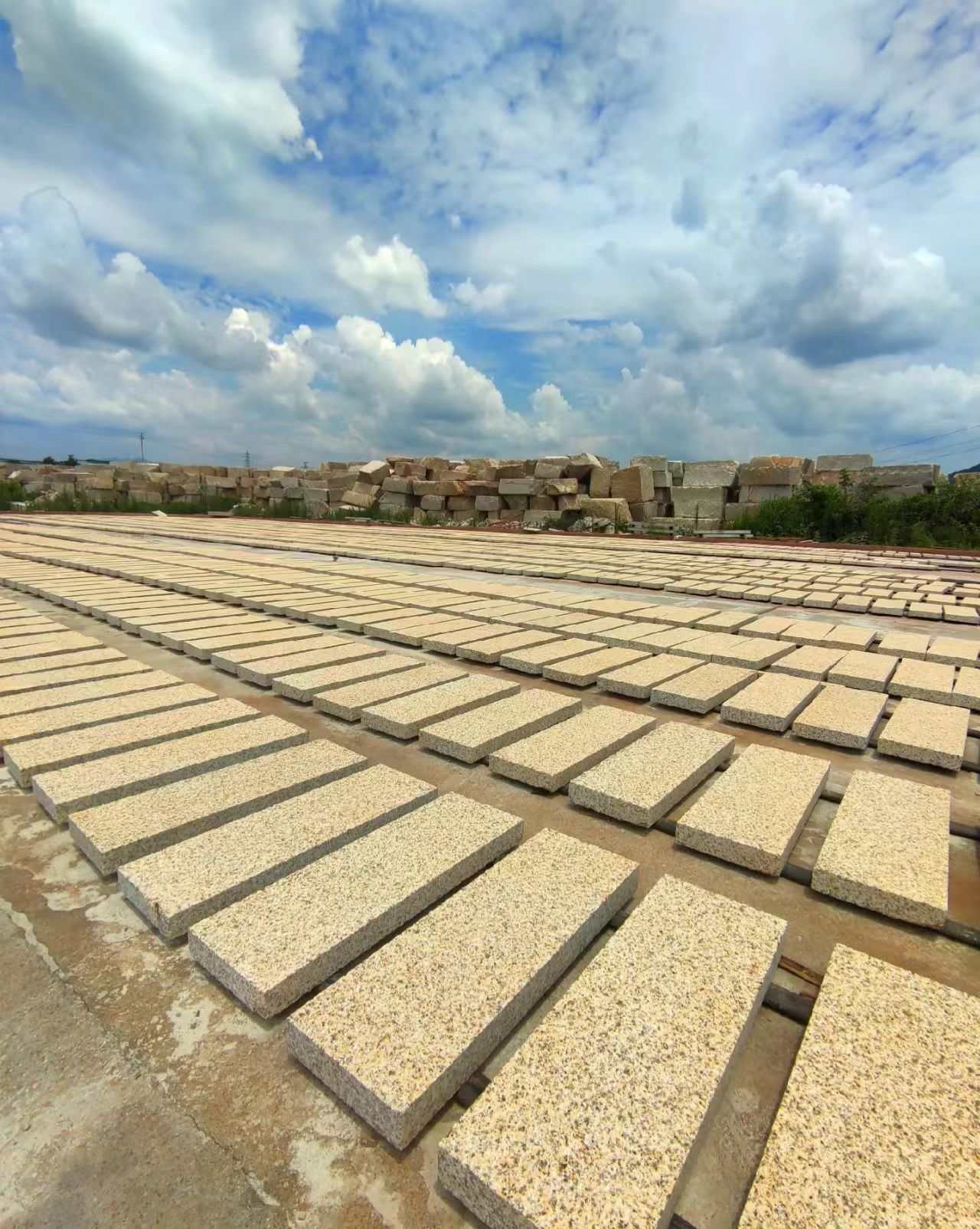 廊坊 黄金麻花岗岩荔枝面地铺石防护中