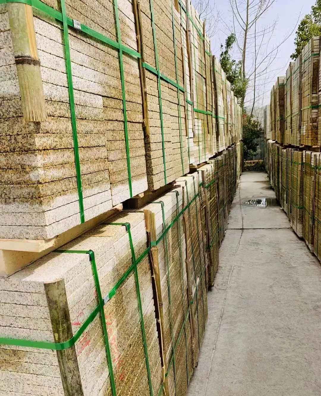 廊坊 黄金麻花岗岩荔枝面地铺石